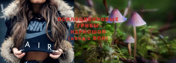 гашик Абаза