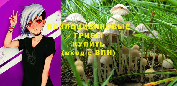 а пвп мука Алексеевка