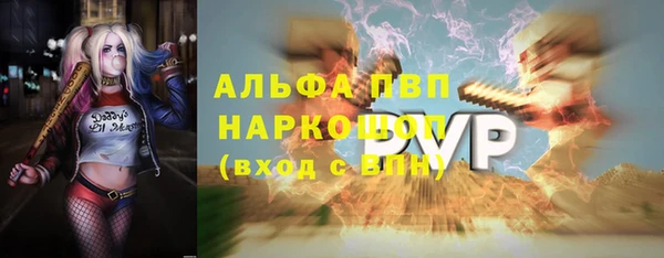 гашик Абаза