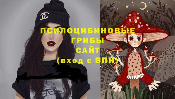 гашик Абаза