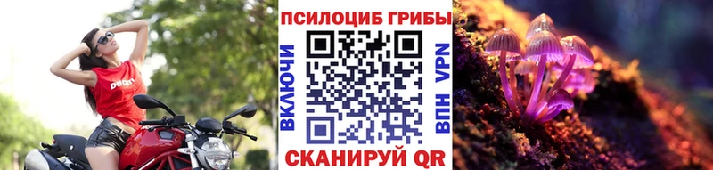 Псилоцибиновые грибы Magic Shrooms нарко площадка официальный сайт Пудож KRAKEN зеркало
